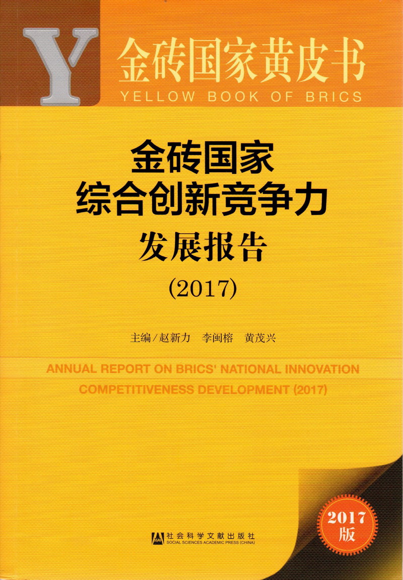 鸡巴操比金砖国家综合创新竞争力发展报告（2017）